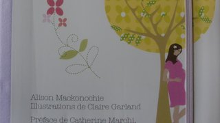 Mon journal de grossesse et le livre pour le futur papa !